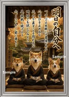 明日の自分へ｜柴犬・秋田犬・コーギーの坐禅修行 前向きな言葉 癒しの筆文字アート