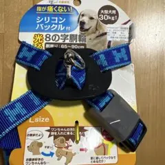 DAISUKI 光る8の字胴輪 Lサイズ ブルーのサムネイル