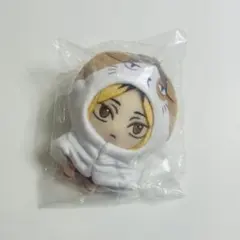【5月中処分予定】ハイキュー！！ セガラッキーくじ 孤爪 研磨 ラストラッキー賞