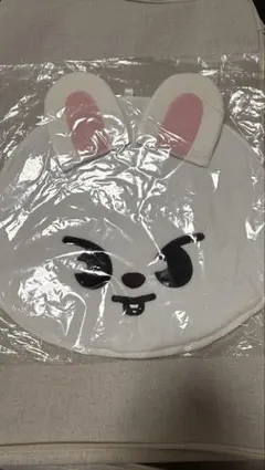 straykids leebit うちわカバー