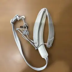 Item thumbnail for item 4ac94ddd-b151-4786-b0b0-59209e7a8deb