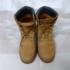 Item thumbnail for item 76921a92-9364-48e9-851b-0a597d65ca16