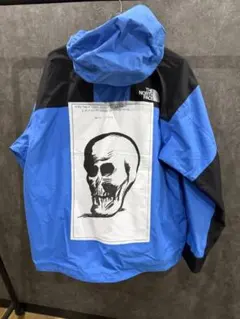 Supreme North Face Mountain Jacket Blue