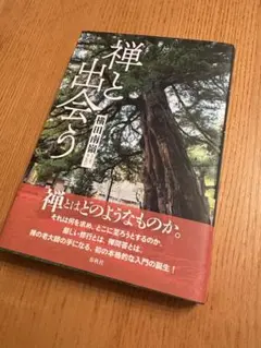 禅