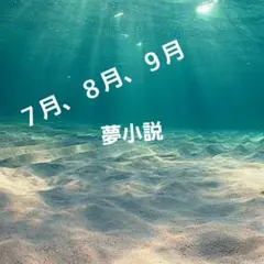 桜餅様　専用　７月、８月、9月　夢小説