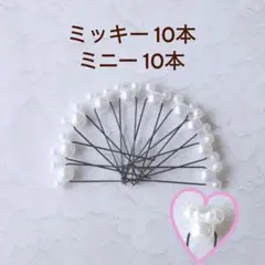 Item thumbnail for item 5706f87e-b2e2-421a-9fee-30437c6177f7