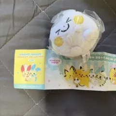 韓国限定　ポケモン　ポップアップ　ぬいぐるみマスコットキーリング　トゲデマル