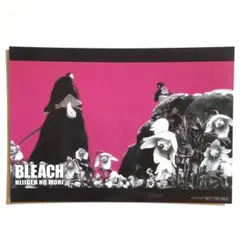 【最終お値下げ】BLEACH 検定 ニジゲンノモリ 砕蜂 大前田希千代 二番隊