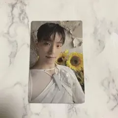 SEVENTEEN メンバーシップ トレカ ディノ　セブチ　メンシプ