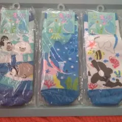 海の生き物　靴下　スニーカーソックス　3足セット②