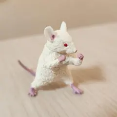 Item thumbnail for item 983a8b18-7d5d-4dfe-8ca2-5caaae3be394