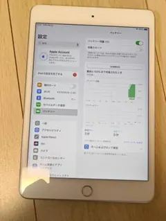 24H以内発送・ケース付iPad mini 5 64GB シルバー SIMフリー