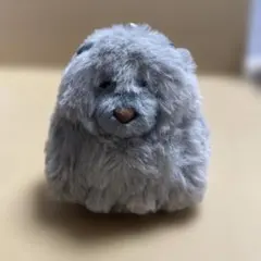 もふ犬チャウねん