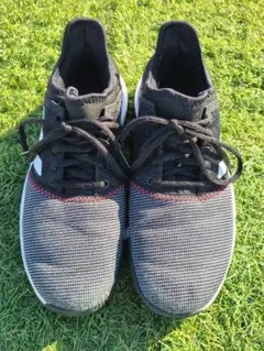 インドアテニスシューズ　24.5㎝　adidas