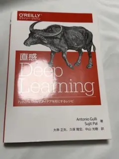 直感 Deep Learning (O'Reilly) - メルカリ