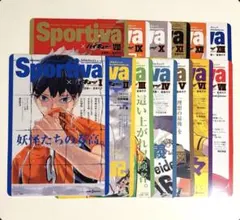 ハイキュー!! ショーセツバン スポルティーバ ビジュアルボード 全13種
