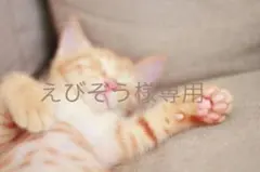 新品未使用タグ付SELECTMOCA　ビッグシルエットデニムジャケット色ブルー