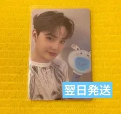 TREASURE REBOOT ソウルコン ペンライトカバー　トレカ ドヨン