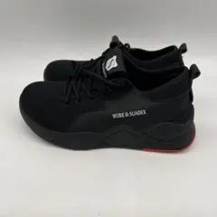 Item thumbnail for item 146ff1bf-22af-47eb-88a1-ee78eb00d943