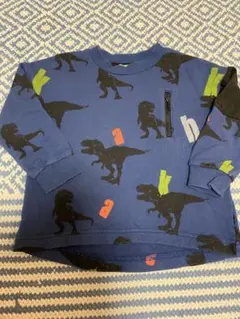 hakka baby ハッカ　キッズ　100トレーナー　恐竜　スウェット