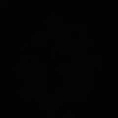 音翔様　専用ページ