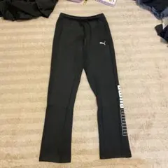 PUMA セットアップ レディース Sサイズ