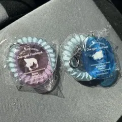 コナン 映画 ロッカーキー風 アクキー 新一 蘭