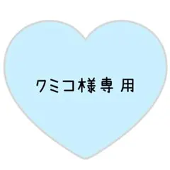 クミコ様専用ページ⸜❤︎⸝ロイくん【お急ぎ】