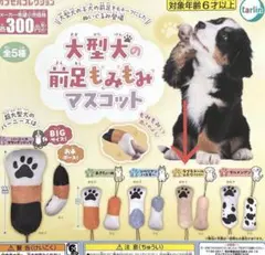 Item thumbnail for item c8ab60bf-68de-48cc-a3ca-c681f7bd8510