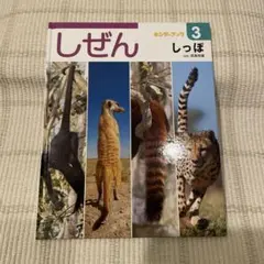 2025年最新】フレーベル館しぜんの人気アイテム - メルカリ