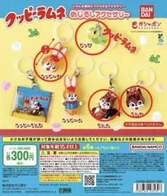 クッピーラムネ　めじるしアクセサリー　4種セット