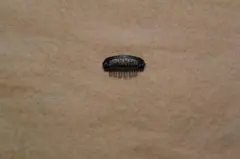 Item thumbnail for item 6c04a41b-6d6c-4ef7-9abd-c9ddc59b47c3