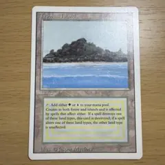 2026年最新】Tropical island mtgの人気アイテム - メルカリ