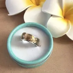 Item thumbnail for item c91760f6-877a-40bf-ab56-ad91f97c2156