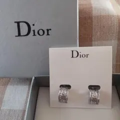 ☆Dior CD ロゴイヤリング☆レトロ ☆ヴィンテージ 超希少！