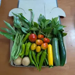 新鮮野菜セットのサムネイル