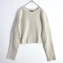 6429 ZARA ザラ クルーネック リブニットカットソー EURＭ 白