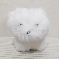 さみしがりやのポメラニアン たちのサムネイル