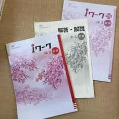 Item thumbnail for item ec813275-1a4a-42fb-a5ab-6d1a5942055f