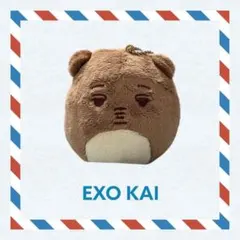 2026年最新】exo ぬいぐるみ カイの人気アイテム - メルカリ