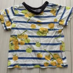 hakka kids Tシャツ
