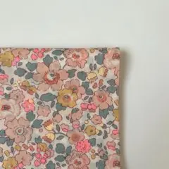 Item thumbnail for item 55b66302-538a-4dc8-b22d-ee04ee763f7f