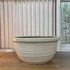 未使用品　信楽焼　水鉢　睡蓮鉢　メダカ鉢