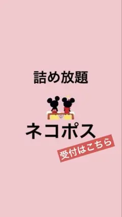 詰め放題　　ネコポス　サイズ　　受付中