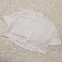 Item thumbnail for item 8a82d89b-846f-4c8e-8129-2674689feaf5