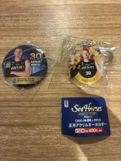 シーホース三河 アーロン ホワイト キーホルダー & 缶バッジ セット