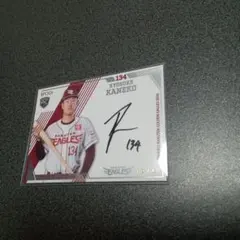 Item thumbnail for item 623e830c-bd10-476a-a8b9-3c0f7d4500f9