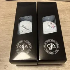 Titleist ゴルフボール JGAロゴ入り 2箱セットのサムネイル