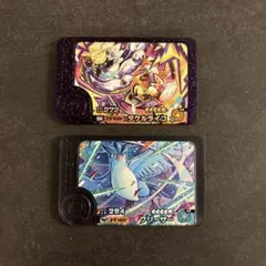 フレンダ　フリーザー　タケルライコ　2枚セット