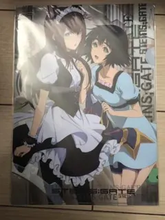 steins gate 牧瀬紅莉栖　椎名まゆり　A4 クリアファイル